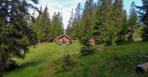  Pleis Jagdhütte 